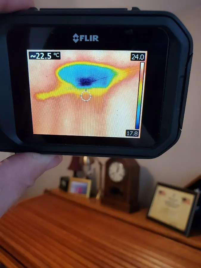 Thermal imaging inspection for water damage in Garden City