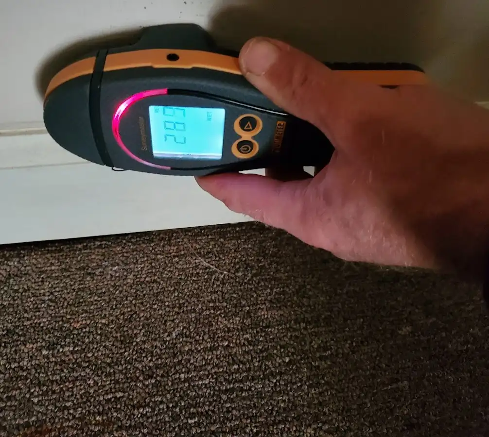 Moisture detection at baseboard during Burst Pipe Cleanup in Garden City